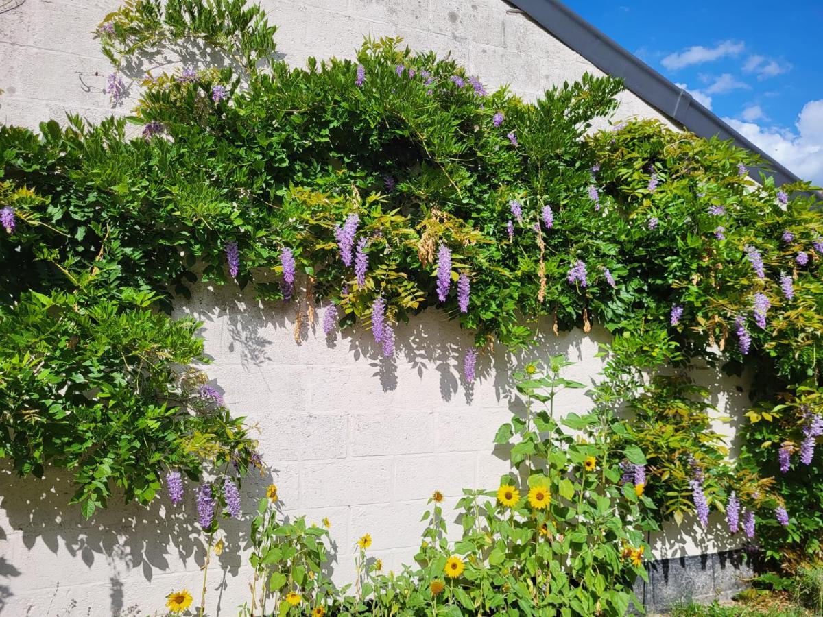 Heerlijk Appartement 'La Bienvenue' In Venlo, Limburg Exteriör bild